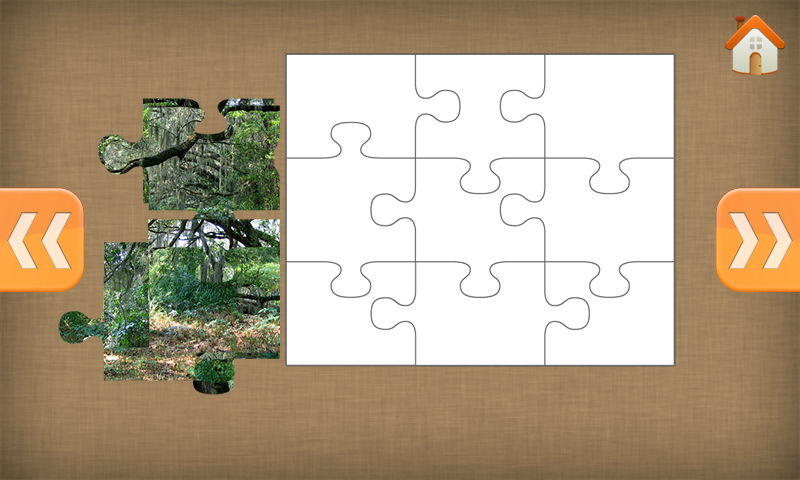 jigsaw puzzles